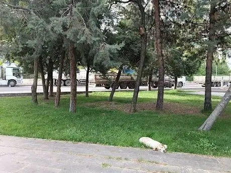 Photo de Dinlenme Ev Spor Parkı