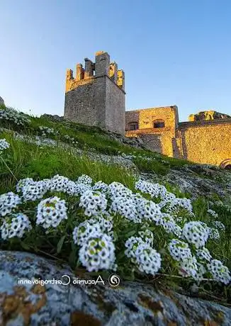 Photo de Castello del Conte Luna