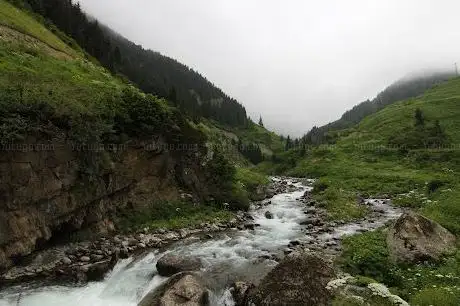 Photo de Çiçekli Yaylası