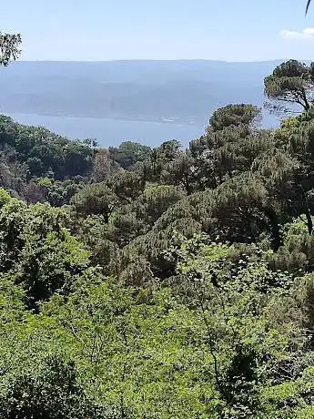 Photo de Bosco di Camaro