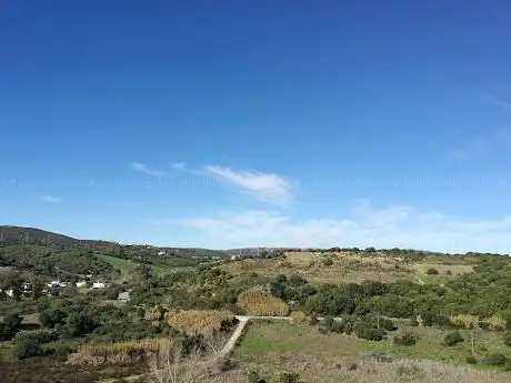 Photo de Urbanización Arroyo Madre Vieja