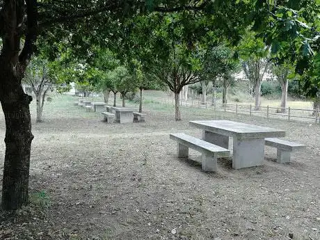 Photo de Merendeiro do rÃ­o Umia