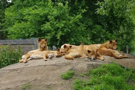 Photo of Spaycific Zoo
