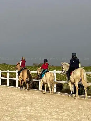 Photo de Sun Point 26