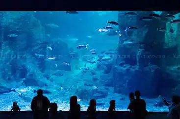 Photo de Istanbul Aquarium
