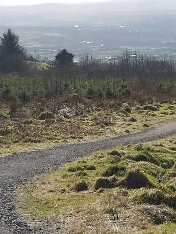 Ballyboley Forest entrance