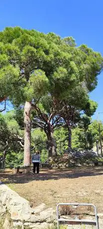 Photo de Mirador d'en Cintet