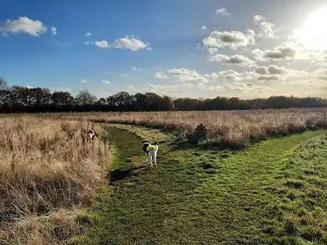 Photo de Eashing Fields