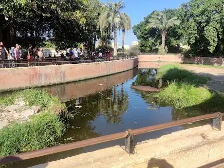 Photo de Alexandria Zoo