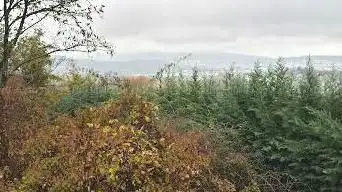 Photo de Croix de Frun