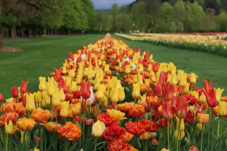 Photo de Arboretum