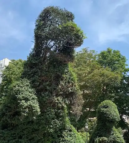 Photo de Dinoseto