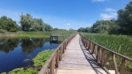 Photo de Kopački Rit