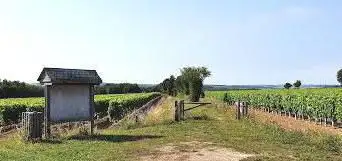 Photo de La Voie Verte 