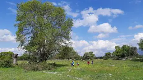 Photo de Arboreto de Moralzarzal