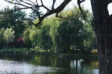 Photo de Parc du Grand-Coteau