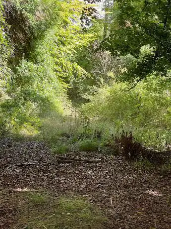 Photo de Middle Hill
