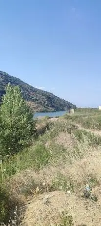 Photo de İsabeyli Yeşildere Göleti