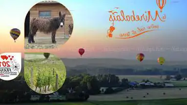 Photo de Office de Tourisme du Haut-Poitou - Mirebeau