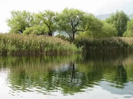 Photo de Regional Natural Reserve