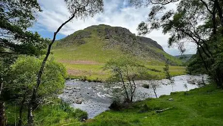 Foto de RSPB Gwenffrwd-dinas