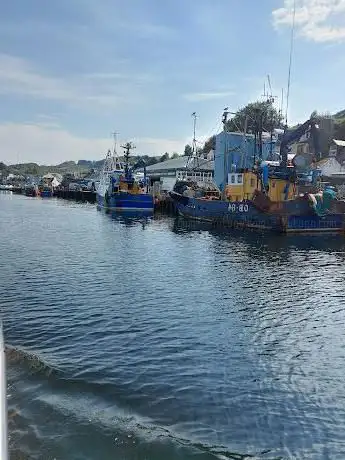 Photo de Fyne Sea Tours