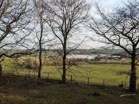 Cairn Wood