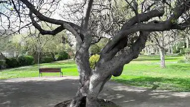 Photo de Parc Bortoli