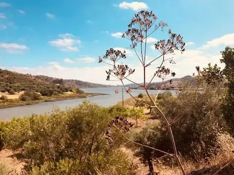 Photo de Castelo de Alcoutim
