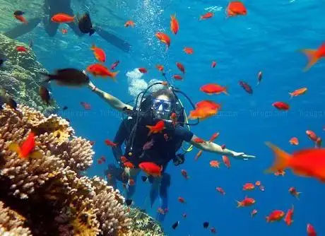 Photo de Cinderella Eldawley Diving Center