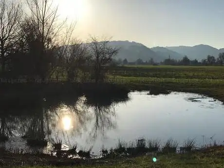 Photo de Schweizer Ried
