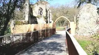 Photo de Château Des Essarts, spectacle Vendée