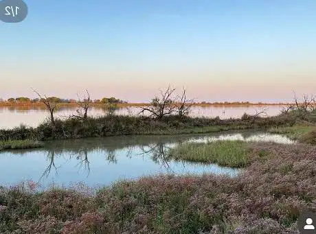 Photo de Laguna del Mort (Ex Letto del Fiume Piave)