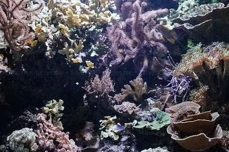 Photo de Aquarium du Limousin