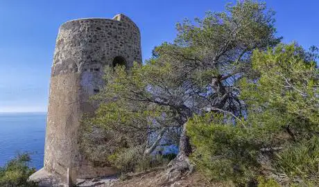 Photo de Torre de la Caleta