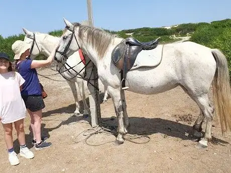 Photo de Passeios a cavalo