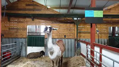 Photo de Farmer Teds Adventure Farm