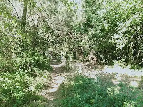 Photo de Lavadoiro de Gandón