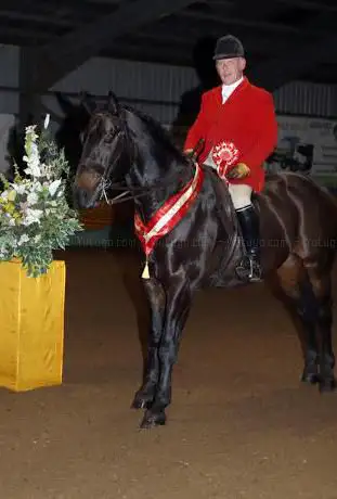 Photo de Andrew Collins Equestrian