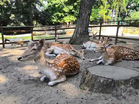 Photo of Parco Pallavicino