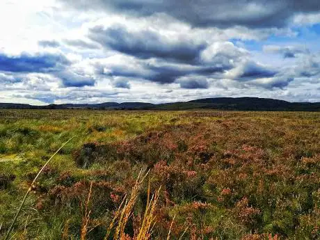 Photo de Moine Mhor National Nature Reserve