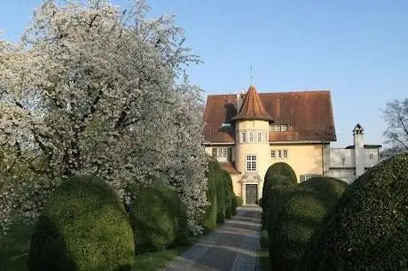 Foto de C.G. Jung House Museum