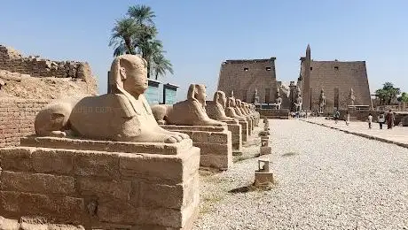 Photo de Allée des Sphinx de Karnak