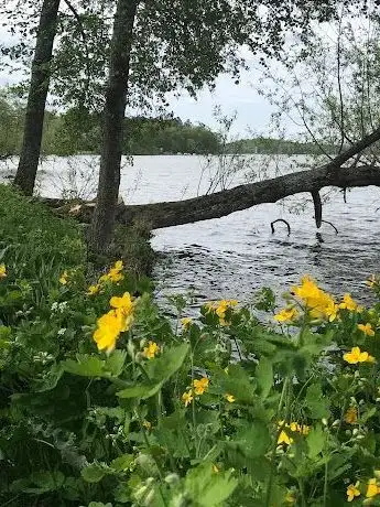 Photo de Kyrkogårdsparken (Nabbviken)