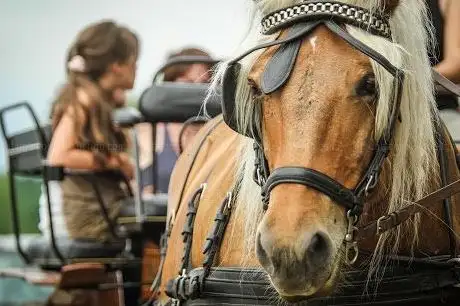 Photo de La Ferme du Pré Fleuri
