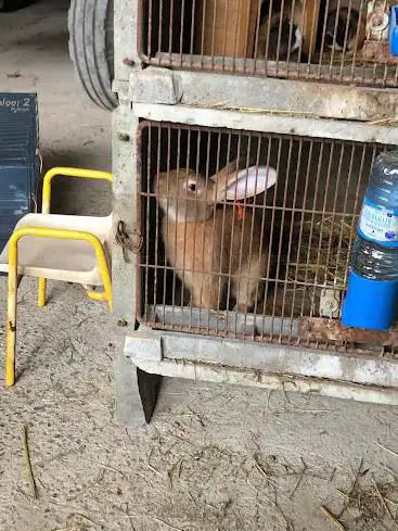 Photo de HOPLA GEISS