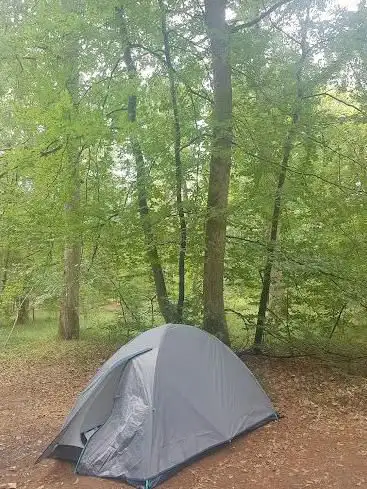 Photo de maison forestiere de bois le roi