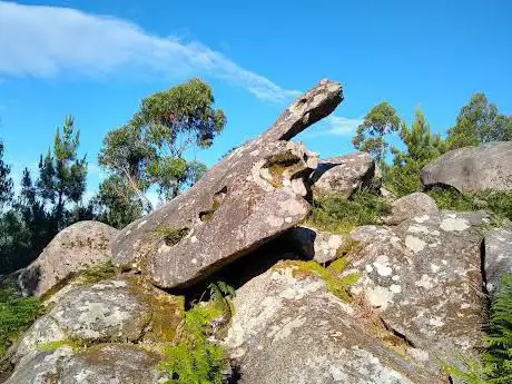 Photo de Mirador da Tartaruga