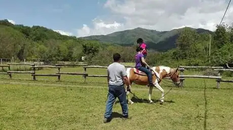Photo de A.S.D MiniRanch Equitazione