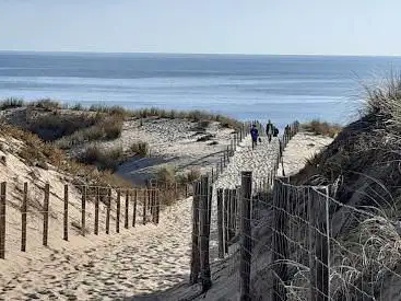 Photo de Beach Dunes